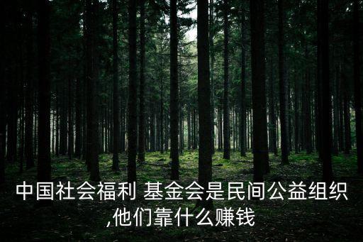 基金會(huì)如何盈利,老?；饡?huì)靠什么盈利
