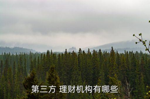 專業(yè)理財(cái)投資公司,最安全的p2p理財(cái)投資公司