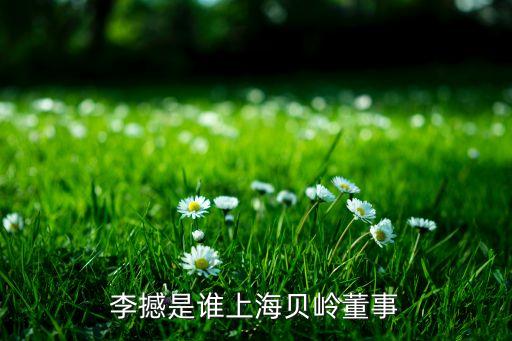 李撼是誰上海貝嶺董事
