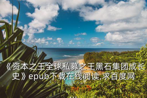 《資本之王全球私募之王黑石集團(tuán)成長史》epub下載在線閱讀,求百度網(wǎng)...