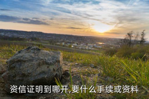 資信證明到哪開(kāi),要什么手續(xù)或資料