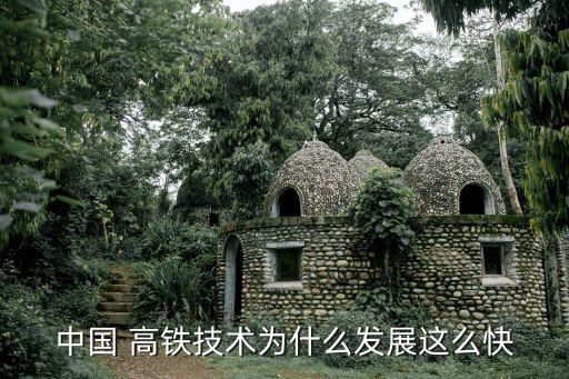 中國 高鐵技術(shù)為什么發(fā)展這么快