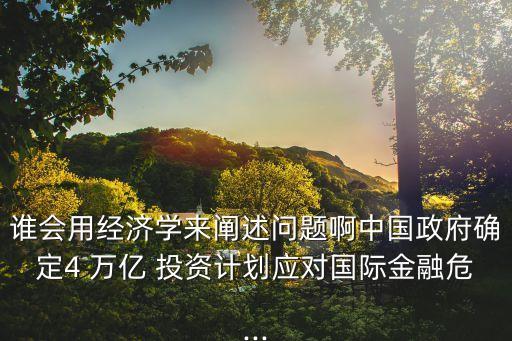 誰會用經(jīng)濟學來闡述問題啊中國政府確定4 萬億 投資計劃應對國際金融危...