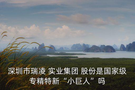 深圳市瑞凌 實(shí)業(yè)集團(tuán) 股份是國(guó)家級(jí)專(zhuān)精特新“小巨人”嗎