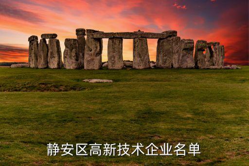 上海金安國紀(jì)科技股份有限公司,金安國紀(jì)科技股份有限公司怎么樣