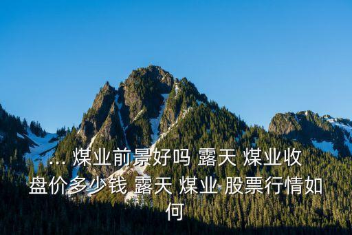 ... 煤業(yè)前景好嗎 露天 煤業(yè)收盤價(jià)多少錢 露天 煤業(yè) 股票行情如何