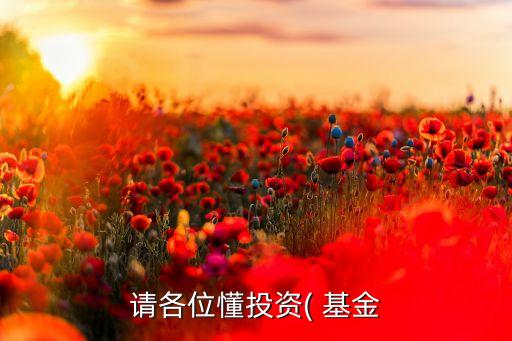 請(qǐng)各位懂投資( 基金