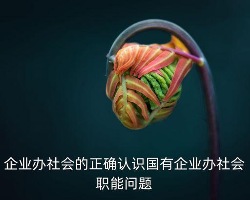 企業(yè)辦社會(huì)的正確認(rèn)識(shí)國有企業(yè)辦社會(huì)職能問題
