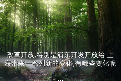 上?，F(xiàn)代服務(wù)業(yè)發(fā)展