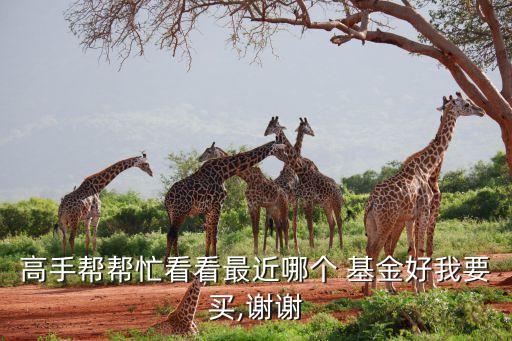 高手幫幫忙看看最近哪個 基金好我要買,謝謝