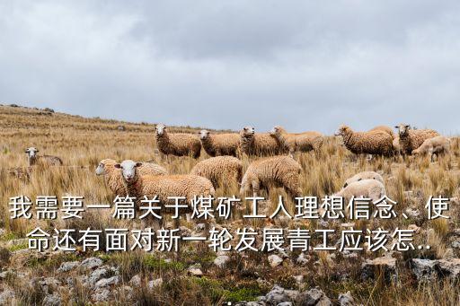 我需要一篇關(guān)于煤礦工人理想信念、使命還有面對(duì)新一輪發(fā)展青工應(yīng)該怎...