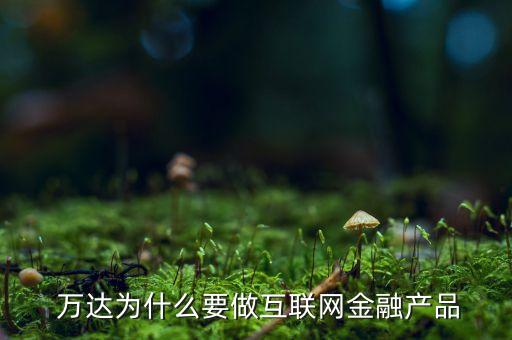  萬達為什么要做互聯(lián)網(wǎng)金融產(chǎn)品