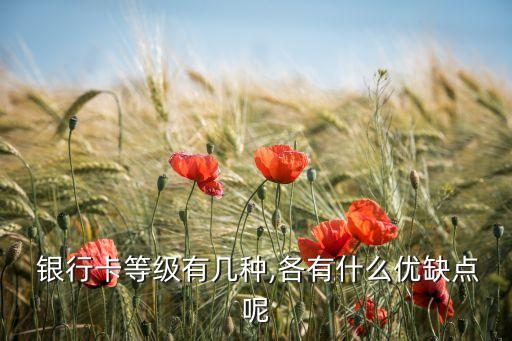 各銀行高端借記卡比較,哪個銀行的高端借記卡權益好