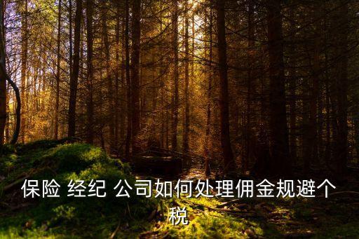 保險 經(jīng)紀 公司如何處理傭金規(guī)避個稅