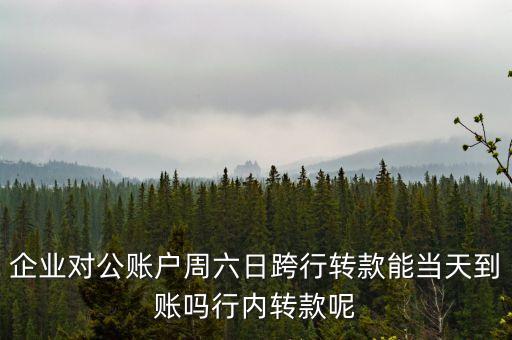 企業(yè)對公賬戶周六日跨行轉(zhuǎn)款能當天到賬嗎行內(nèi)轉(zhuǎn)款呢