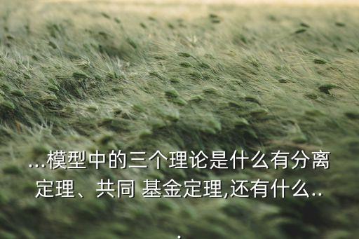 ...模型中的三個(gè)理論是什么有分離定理、共同 基金定理,還有什么...