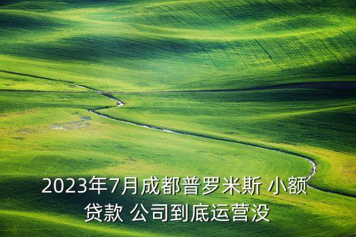 2023年7月成都普羅米斯 小額 貸款 公司到底運營沒