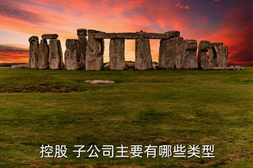  控股 子公司主要有哪些類型