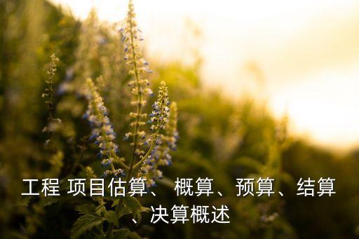 工程 項目估算、 概算、預算、結算、決算概述