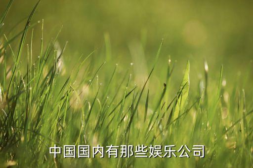 中國國內(nèi)有那些娛樂公司