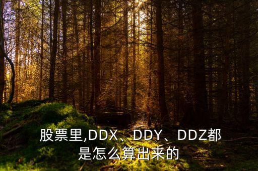  股票里,DDX、DDY、DDZ都是怎么算出來的