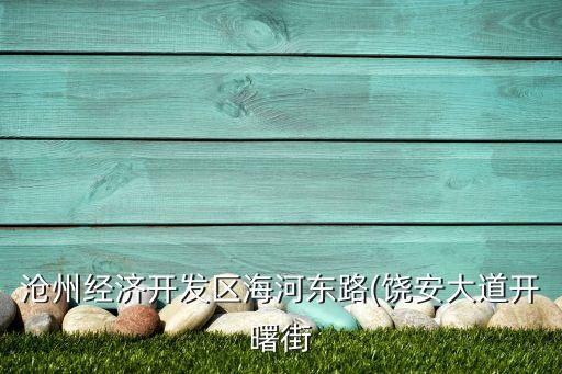 滄州經(jīng)濟開發(fā)區(qū)海河?xùn)|路(饒安大道開曙街