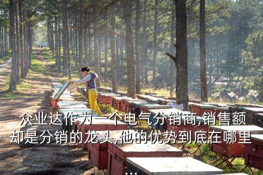  眾業(yè)達(dá)作為一個(gè)電氣分銷商,銷售額卻是分銷的龍頭,他的優(yōu)勢到底在哪里...