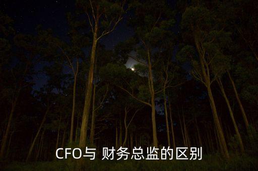 CFO與 財務(wù)總監(jiān)的區(qū)別