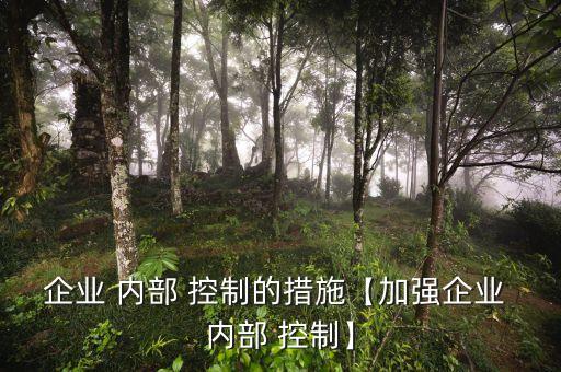 電子科技公司內(nèi)部控制制度,如何理解HZ科技公司治理對(duì)內(nèi)部控制的影響