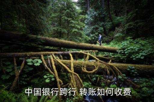  中國(guó)銀行跨行 轉(zhuǎn)賬如何收費(fèi)