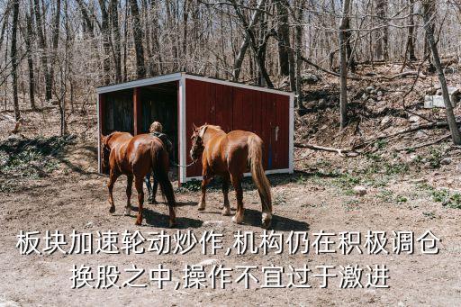 板塊加速輪動炒作,機構(gòu)仍在積極調(diào)倉換股之中,操作不宜過于激進
