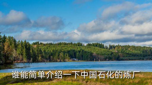 滄州化學(xué)工業(yè)股份有限公司,心連心化學(xué)工業(yè)集團股份有限公司