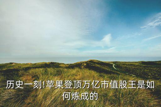 蘋(píng)果公司市富可敵國(guó),世界上有許多公司富可敵國(guó)