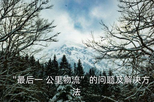 “最后一 公里物流”的問(wèn)題及解決方法