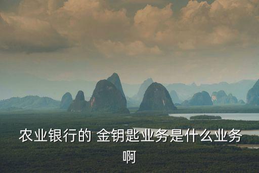 農業(yè)銀行傳世之寶金鑰匙