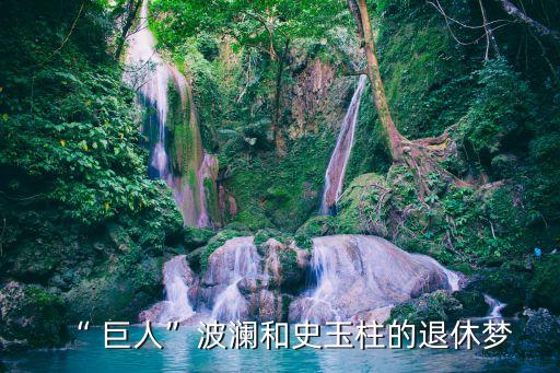 “ 巨人”波瀾和史玉柱的退休夢(mèng)