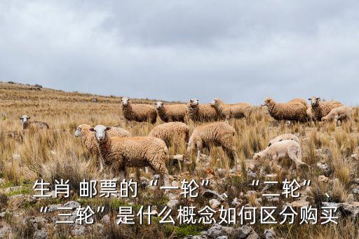  生肖 郵票的“一輪”、“二輪”、“ 三輪”是什么概念如何區(qū)分購買