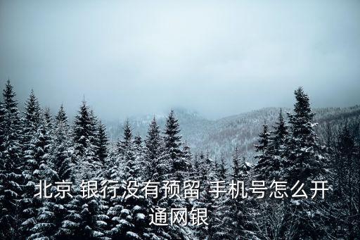  北京 銀行沒有預(yù)留 手機(jī)號(hào)怎么開通網(wǎng)銀