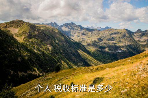 個人 稅收標(biāo)準(zhǔn)是多少