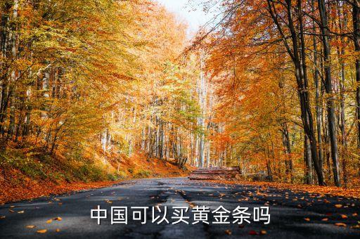 中國(guó)可以買黃金條嗎