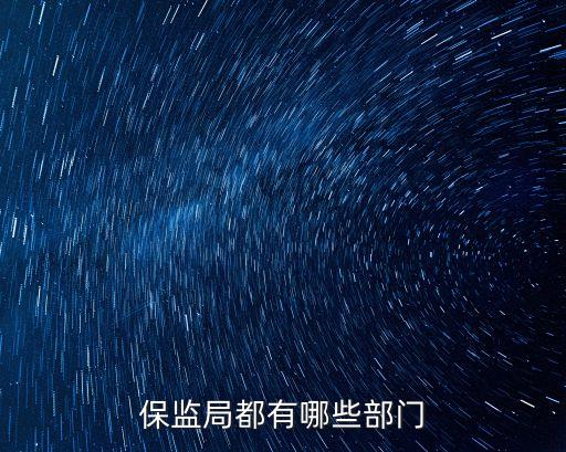 保監(jiān)局都有哪些部門