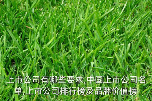 上市公司有哪些要求,中國(guó)上市公司名單,上市公司排行榜及品牌價(jià)值榜