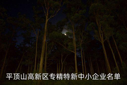 平頂山高新區(qū)專精特新中小企業(yè)名單
