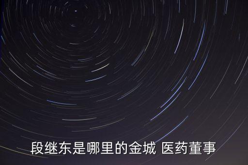 段繼東是哪里的金城 醫(yī)藥董事