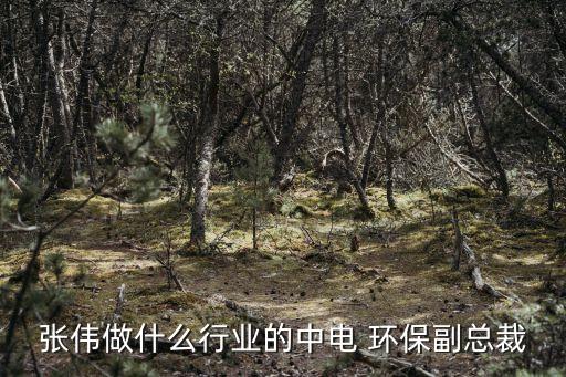 中電加美環(huán)保科技股份有限公司,安徽中電環(huán)?？萍脊煞萦邢薰?/></a></span><span id=