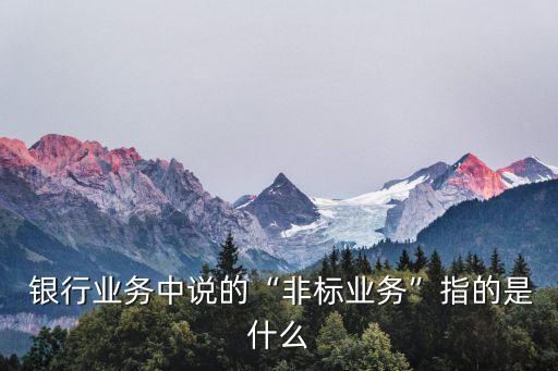  銀行業(yè)務中說的“非標業(yè)務”指的是什么