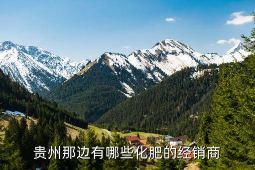 貴州那邊有哪些化肥的經(jīng)銷(xiāo)商