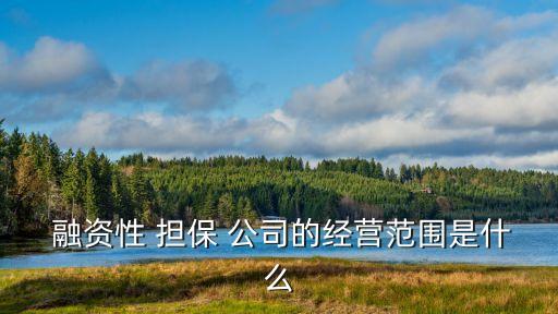 融資擔保公司屬于金融機構嗎,中小企業(yè)融資擔保公司是金融機構嗎