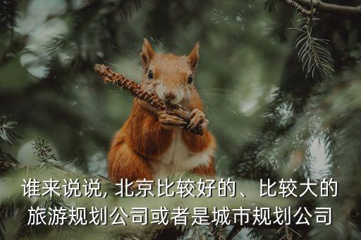 誰來說說, 北京比較好的、比較大的旅游規(guī)劃公司或者是城市規(guī)劃公司