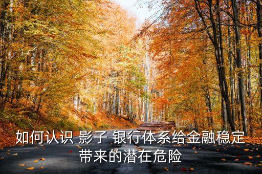 如何認識 影子 銀行體系給金融穩(wěn)定帶來的潛在危險